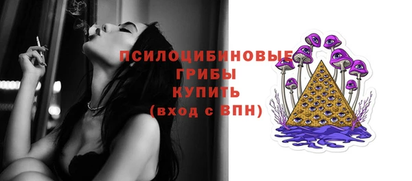 эйфоретик Михайлов