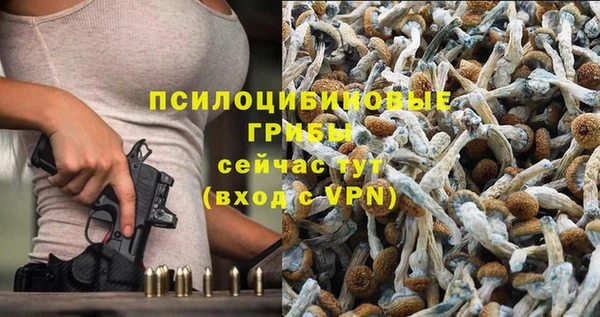 эйфоретик Михайлов